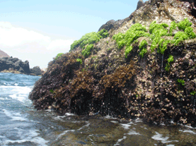 Parque Nacional Mochima