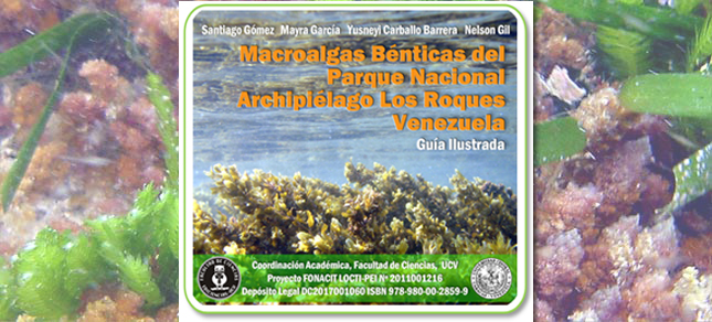 Macroalgas P.N. Archipiélago Los Roques - Guía Ilustrada